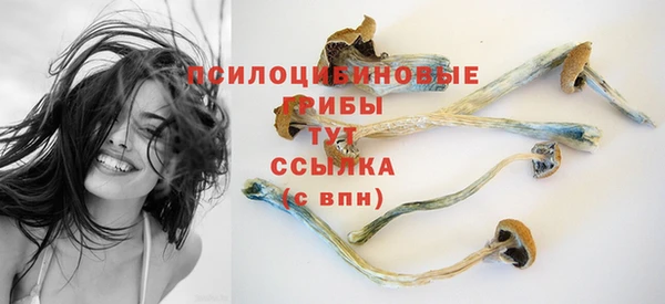прущая мука Волоколамск