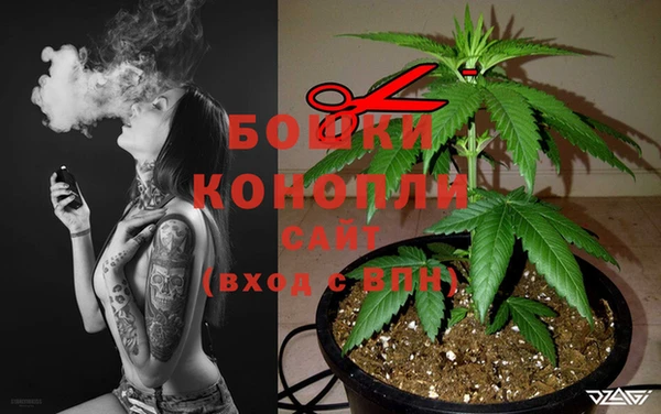 трава Верхнеуральск
