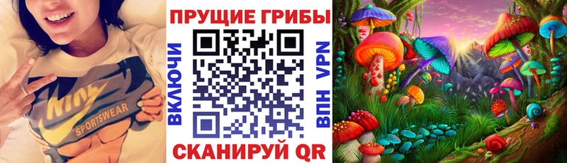 блэк спрут как зайти  Подпорожье  Псилоцибиновые грибы ЛСД 